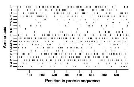 amino acid map