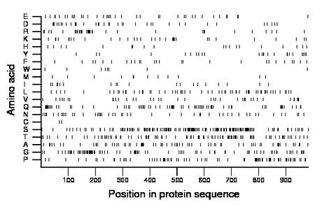 amino acid map