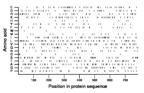 amino acid map