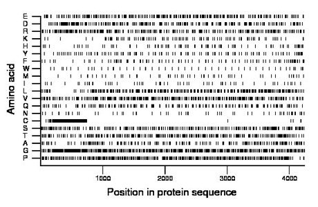 amino acid map