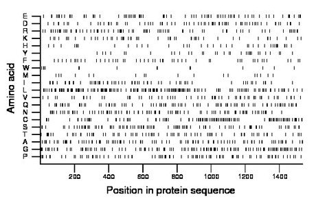 amino acid map