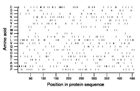 amino acid map