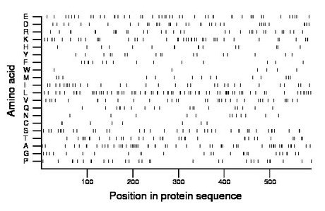 amino acid map