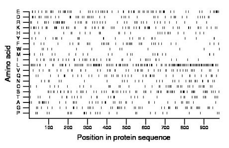 amino acid map