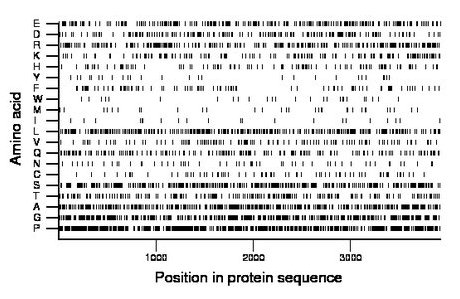 amino acid map