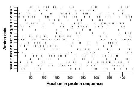 amino acid map