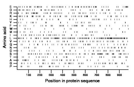 amino acid map