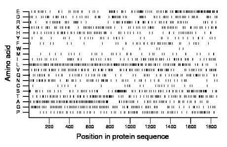 amino acid map