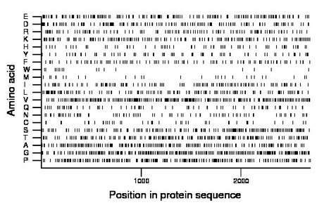 amino acid map