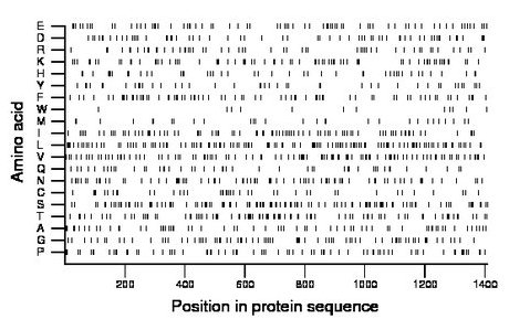 amino acid map