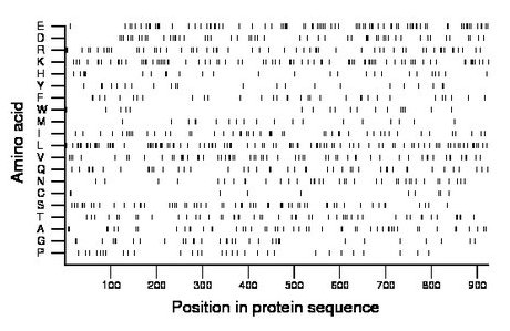 amino acid map