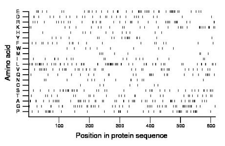 amino acid map