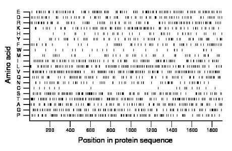 amino acid map