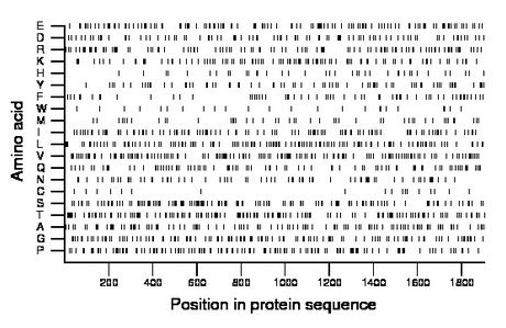 amino acid map