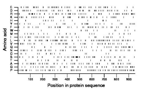 amino acid map