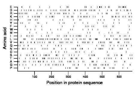 amino acid map