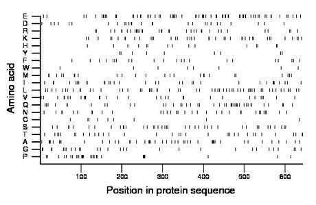 amino acid map