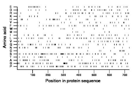 amino acid map