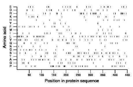 amino acid map