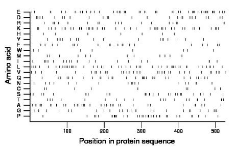 amino acid map