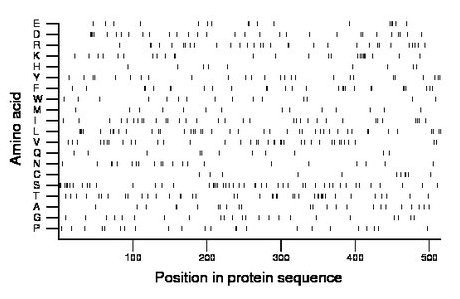 amino acid map