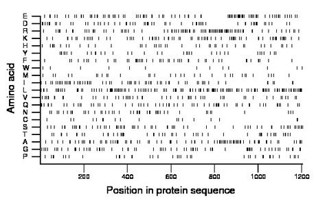 amino acid map