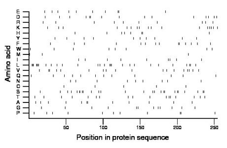 amino acid map