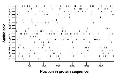 amino acid map