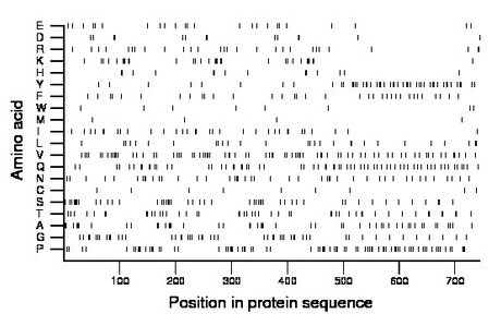 amino acid map