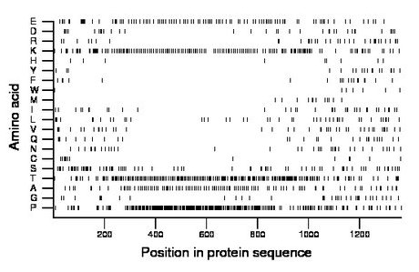 amino acid map