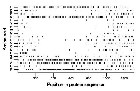 amino acid map