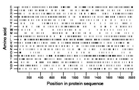 amino acid map