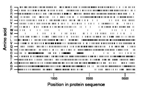 amino acid map