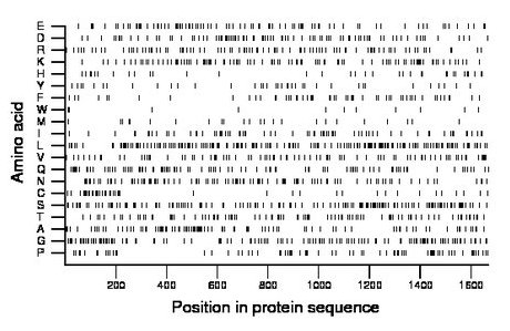 amino acid map