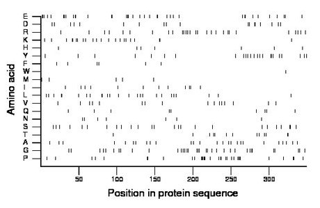 amino acid map