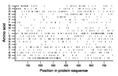 amino acid map