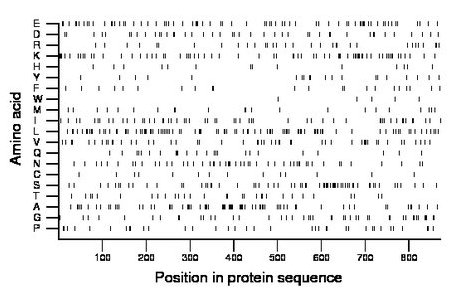 amino acid map