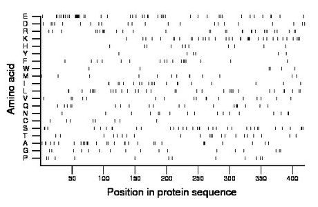 amino acid map