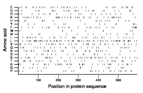 amino acid map