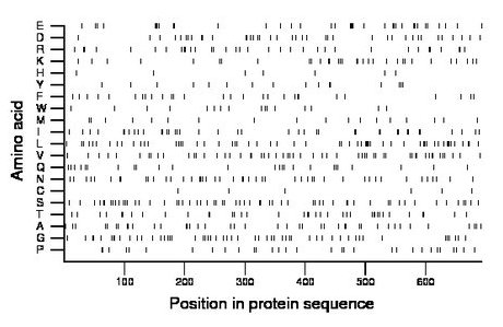 amino acid map