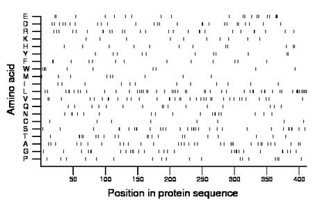 amino acid map