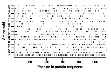 amino acid map