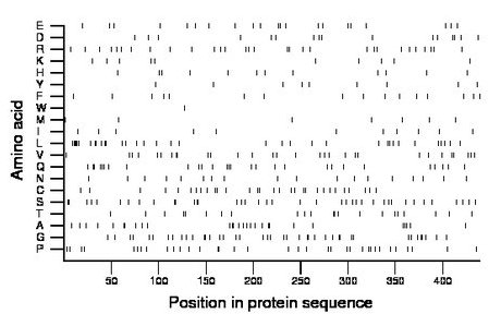 amino acid map