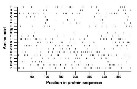 amino acid map