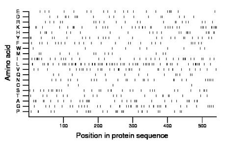 amino acid map