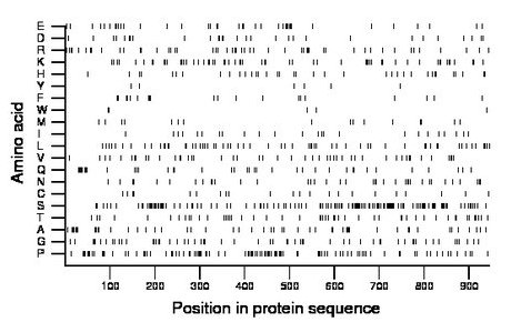 amino acid map