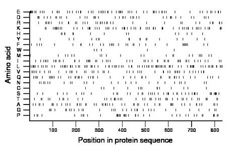 amino acid map