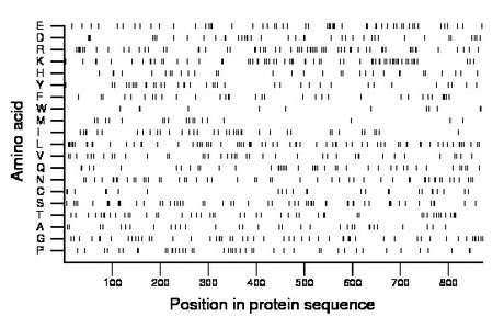 amino acid map