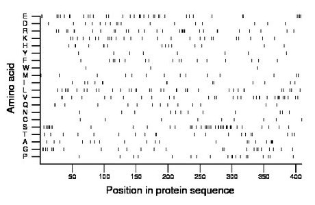 amino acid map