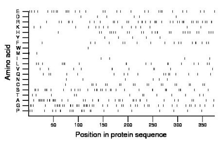 amino acid map